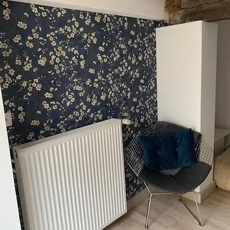 Avec Acces Independant 아파트 Le Brouilh-Monbert